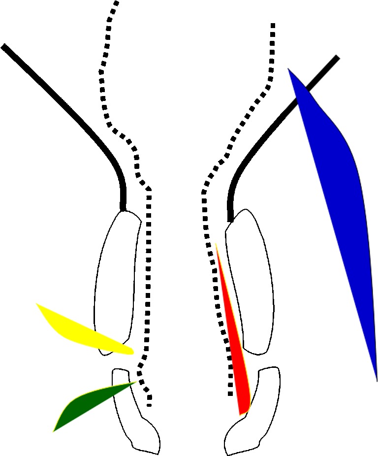 Fig. 2