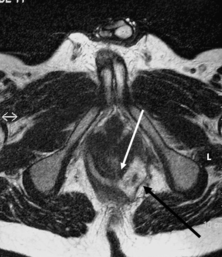 Fig. 7