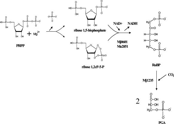 FIG. 6.