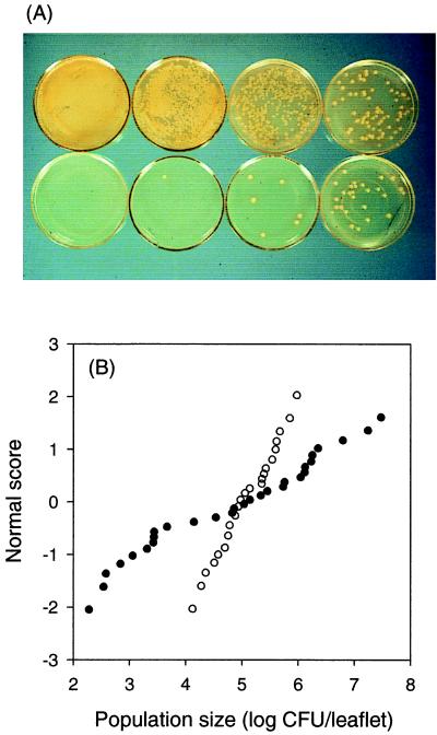 FIG. 6