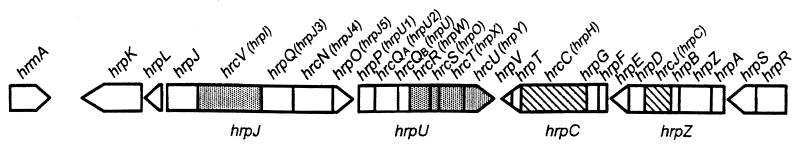 FIG. 13