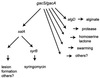 FIG. 15