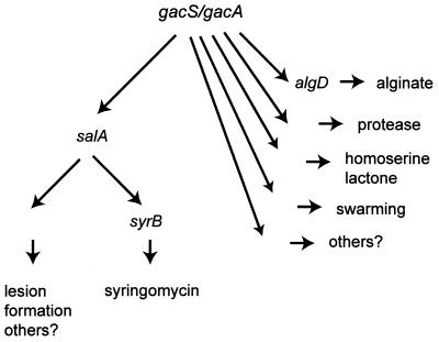 FIG. 15