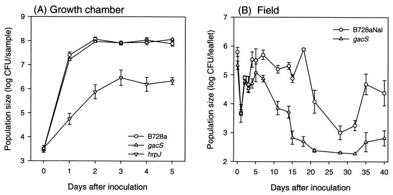 FIG. 16