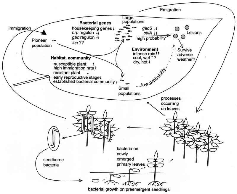 FIG. 17