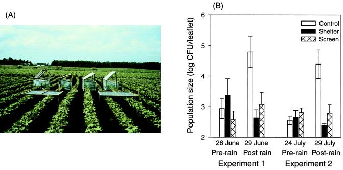 FIG. 10