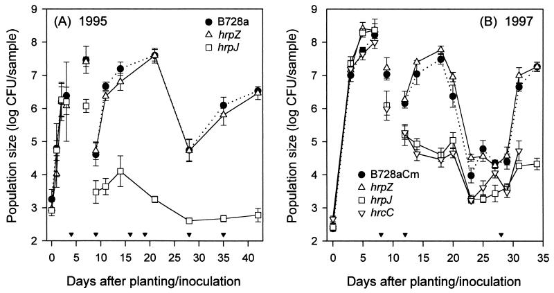 FIG. 14