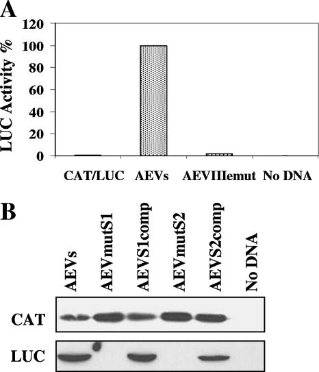 FIG. 5.