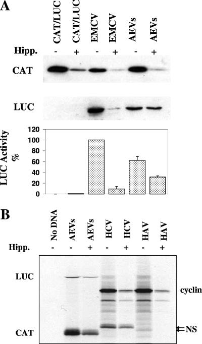 FIG. 6.