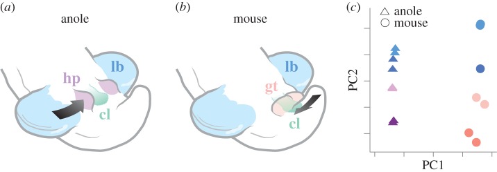 Figure 2.