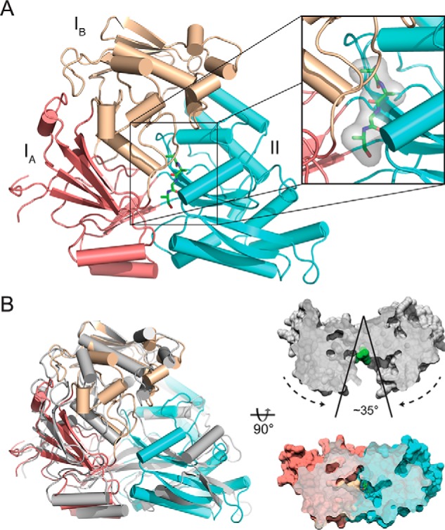 Figure 1.