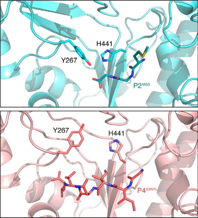 Figure 3.