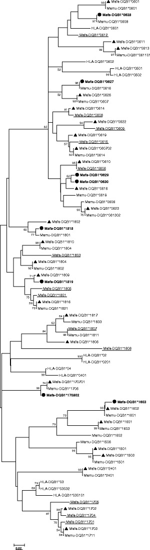 Fig. 6