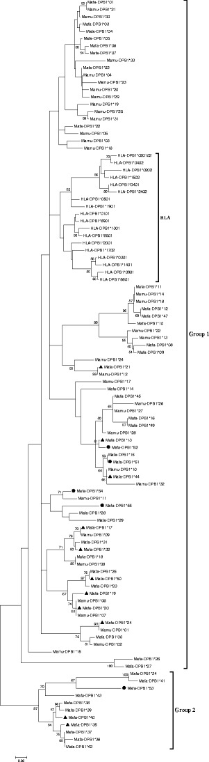 Fig. 5