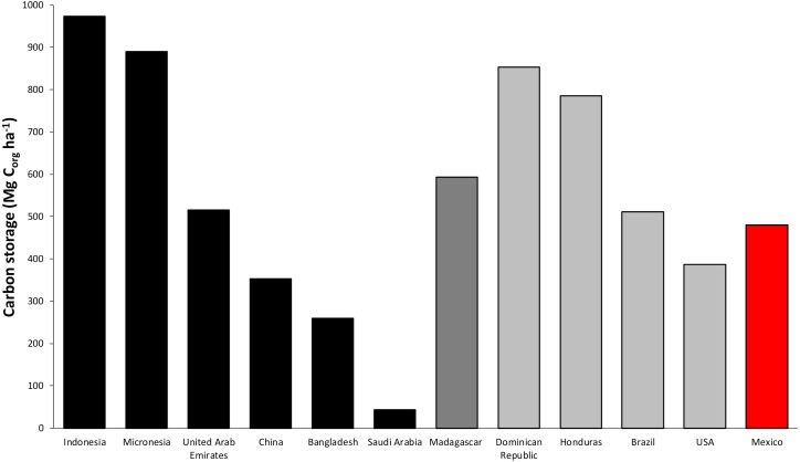 Figure 7