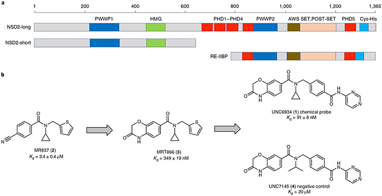 Fig. 1 ∣