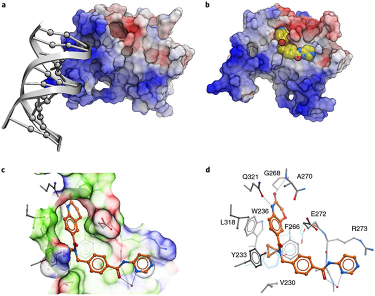 Fig. 3 ∣