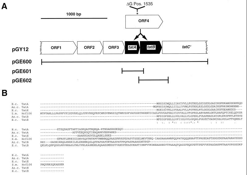 FIG. 6