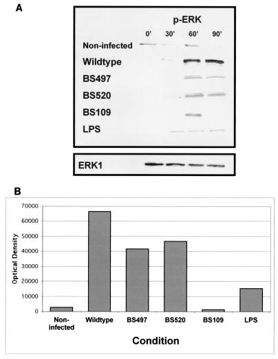 FIG. 5.