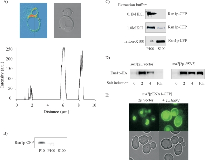 Figure 11.