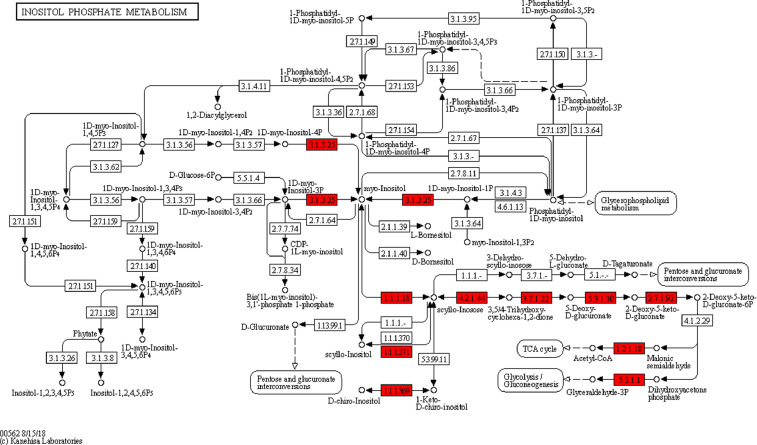 Fig 2