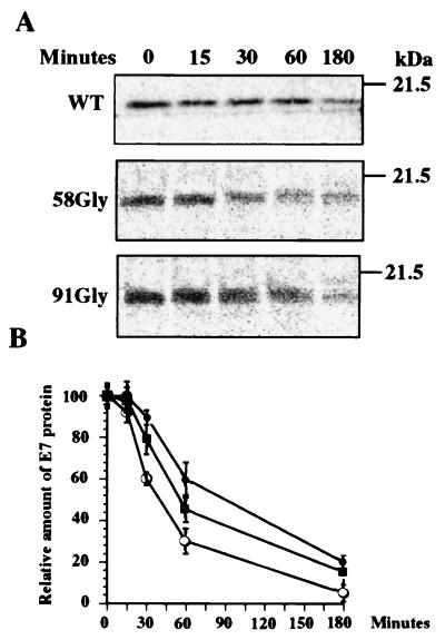 FIG. 6