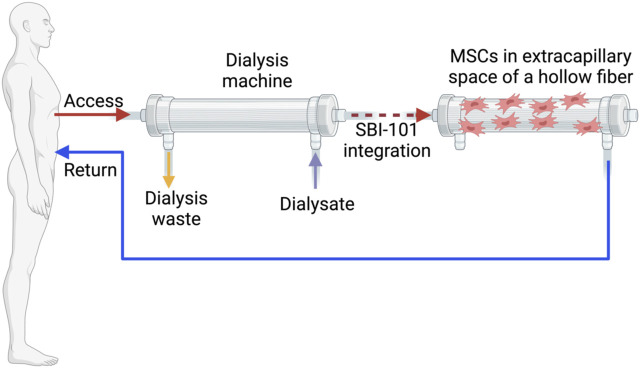 FIGURE 1