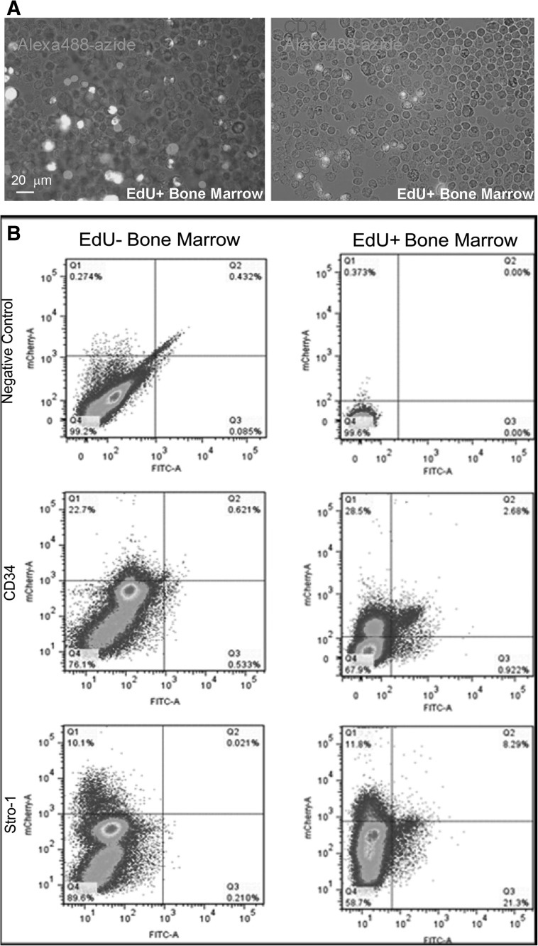 FIG. 7.