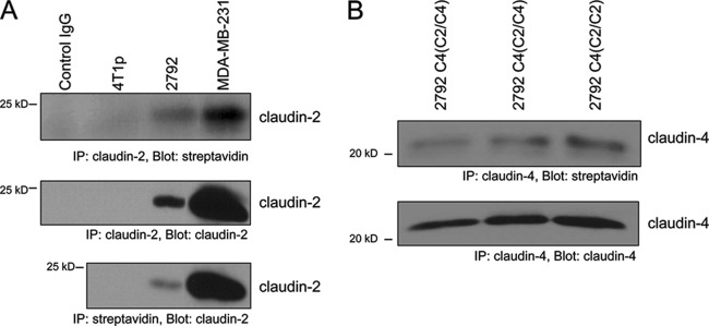 Fig 7