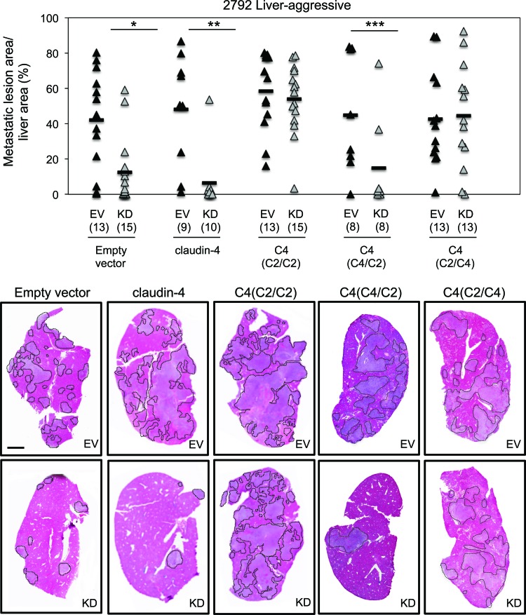 Fig 10