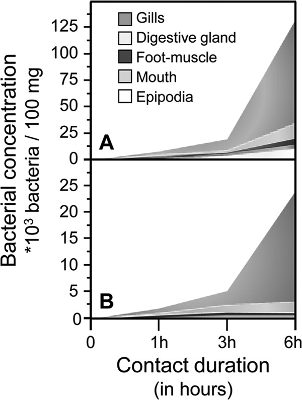 FIG 2