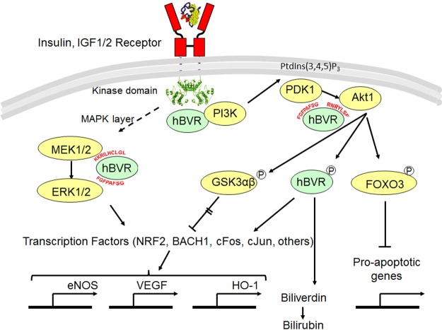 Figure 10.