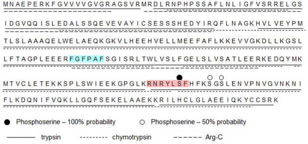 Figure 5.