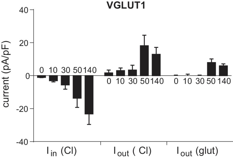 Figure 2—figure supplement 1.