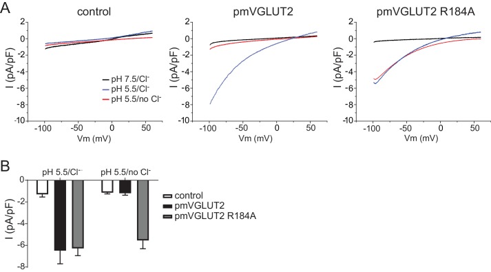 Figure 3—figure supplement 3.