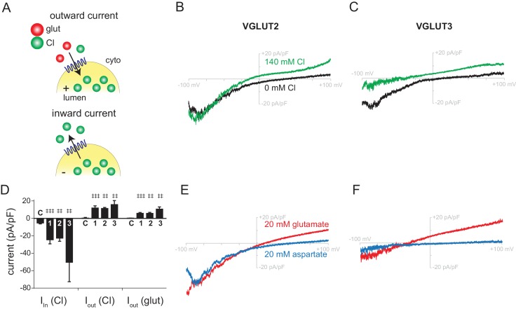 Figure 1—figure supplement 2.