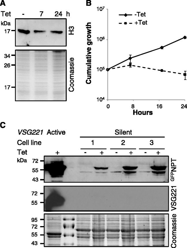 Figure 5.