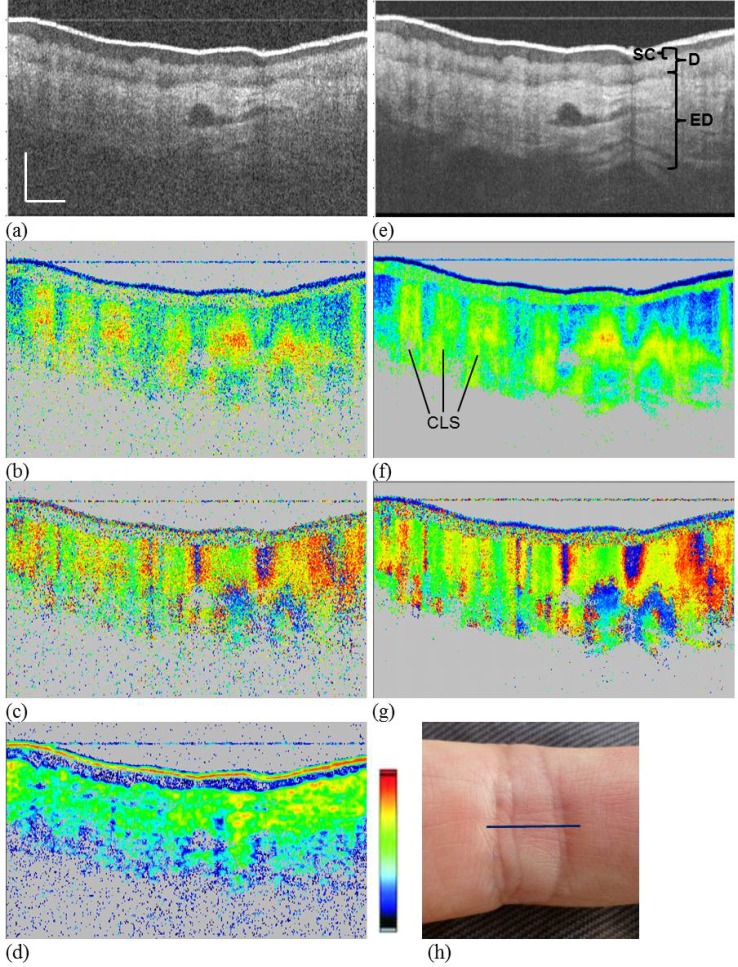 Fig. 4