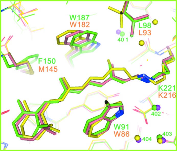 Figure 6