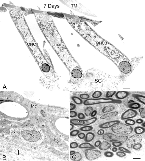 FIG. 5