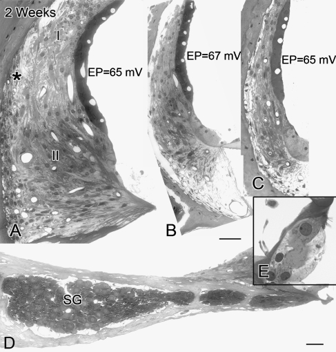 FIG. 6