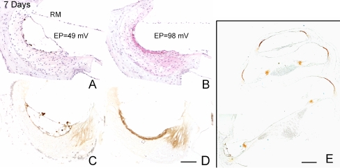 FIG. 4