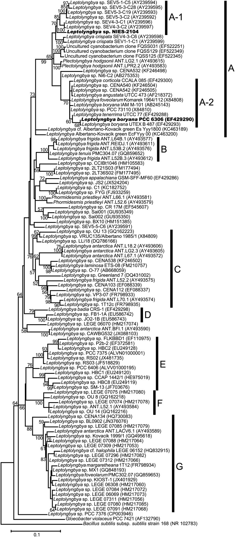 Figure 1.