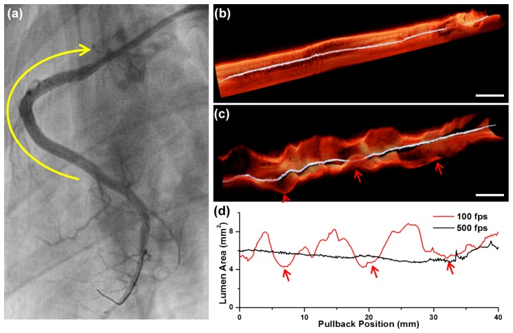 Fig. 7