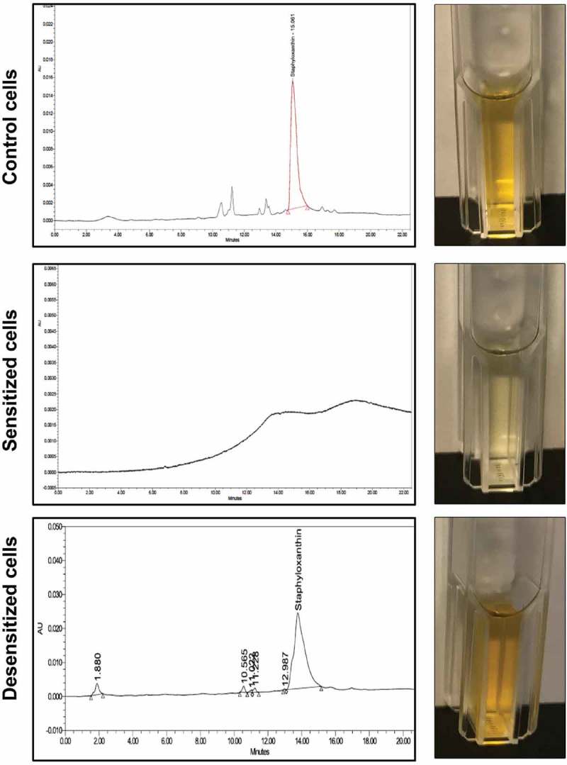 Figure 2.