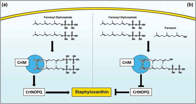 Figure 9.