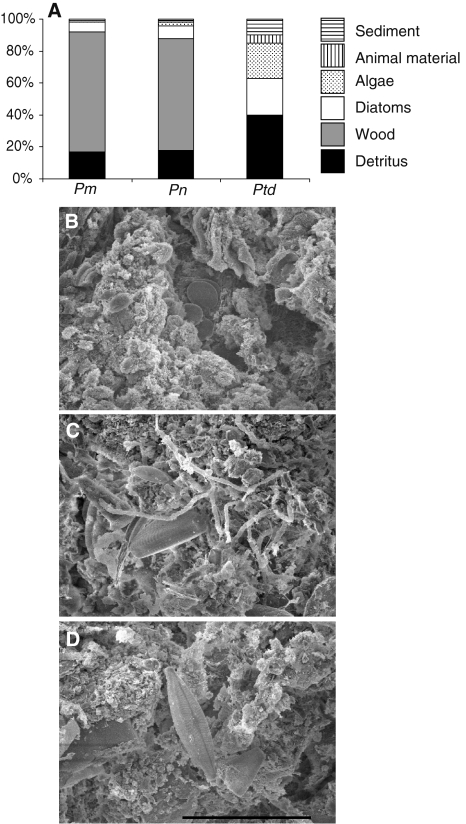 Fig. 2