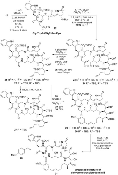 Scheme 6