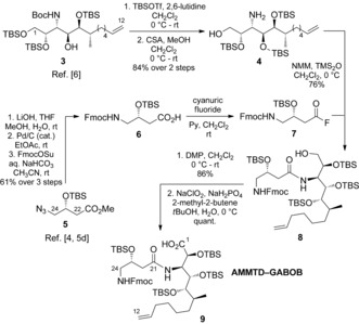 Scheme 3