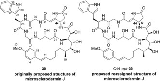 Scheme 8